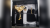 Jeweler\'s Dream by Damien Keith Fisher